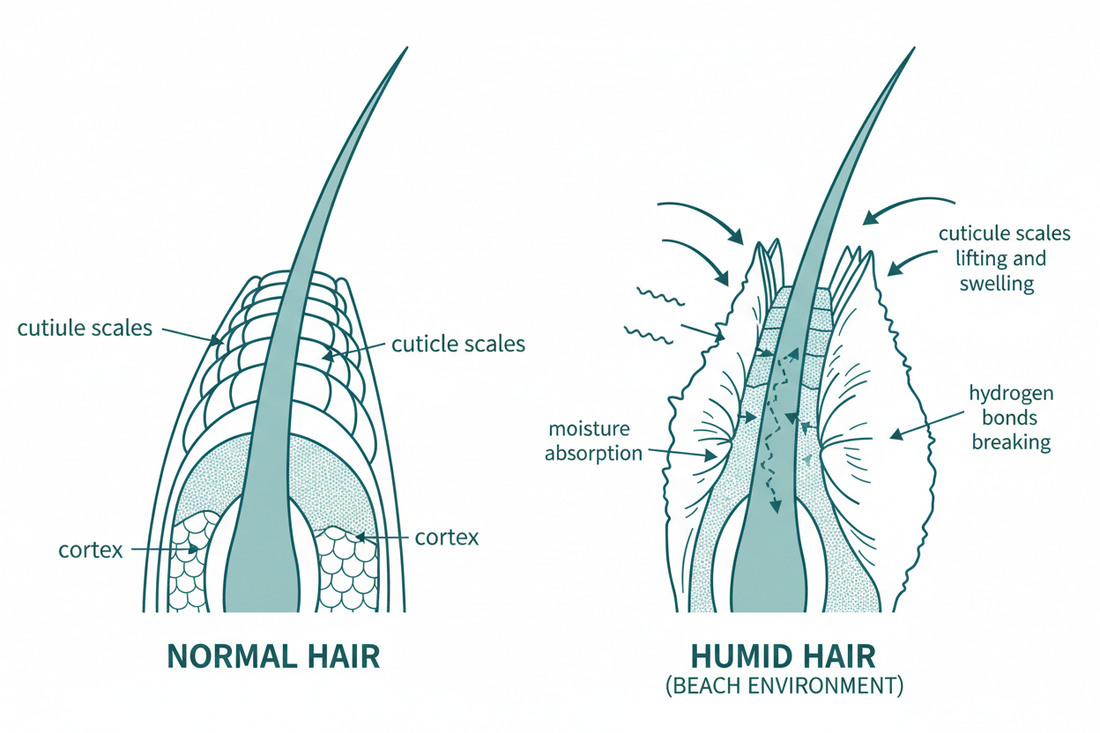Why Your Hair Gets Frizzy at the Beach