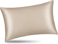ALASKA BEAR Natural Silk Pillowcase, Hypoallergenic, 19 Momme, 600 Thread Count 100 Percent Mulberry Silk, Queen Size with Hidden Zipper (1,Champagne Gold)