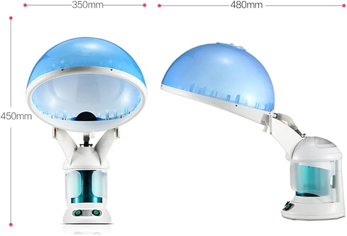 DENFANY Hair Steamer, 2 in 1 Hair and Face Steamer for Natural Hair with UV Ozone, Face Steamer Hair Humidifier Moisturising Hydration System Sprayer for Personal Care Use at Home and Salon