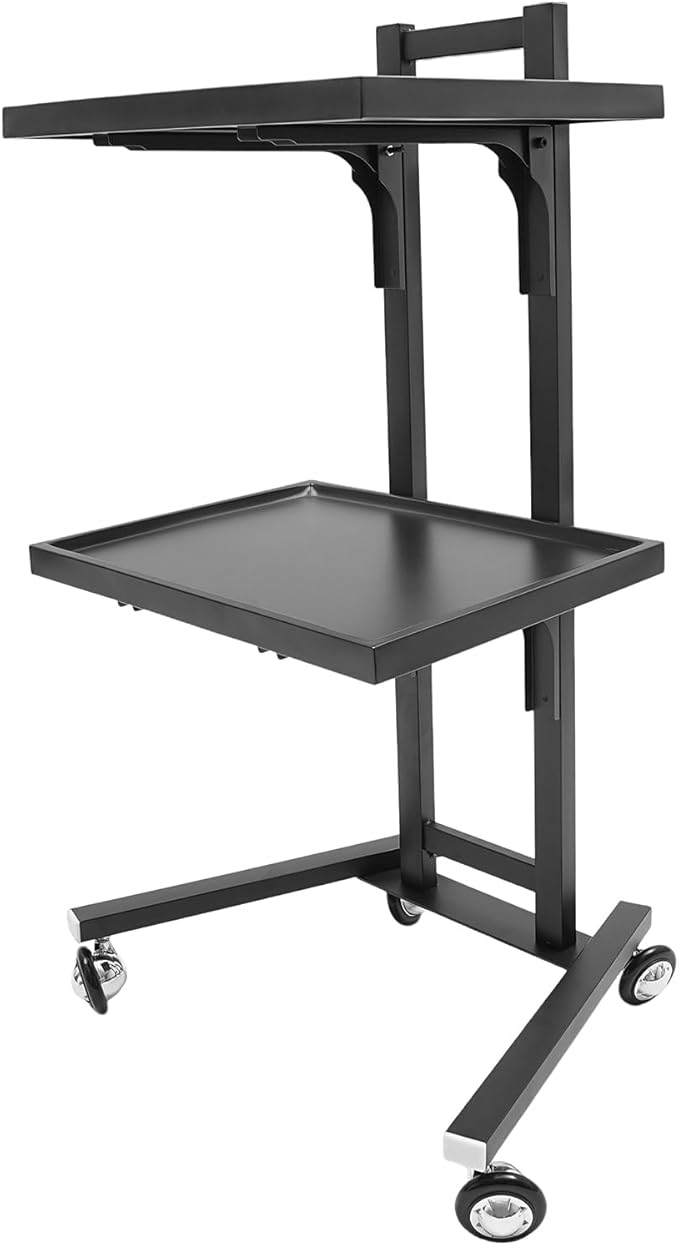 2 Tier Foldable Tray Trolley, Stainless Steel Salon Storage Metal Rolling Cart Mobile Hairdressing Tool Organizer with Wheels for Hair Salon, Studios, Spa Salons (Black)