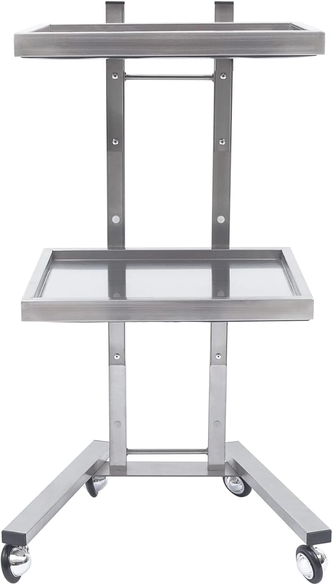2 Tier Foldable Tray Trolley, Stainless Steel Salon Storage Metal Rolling Cart Mobile Hairdressing Tool Organizer with Wheels for Hair Salon, Studios, Spa Salons (Silver)
