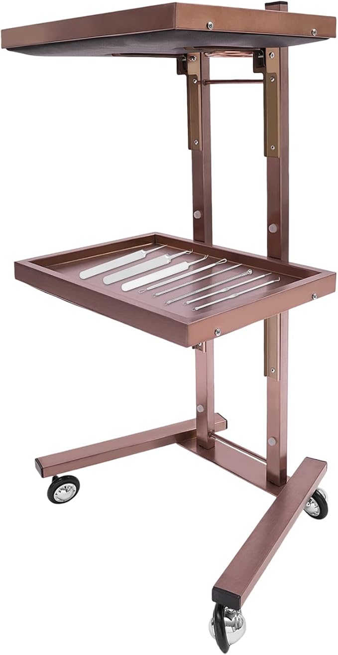 2 Tier Foldable Tray Trolley, Stainless Steel Salon Storage Metal Rolling Cart Mobile Hairdressing Tool Organizer with Wheels for Hair Salon, Studios, Spa Salons (Rose Gold)