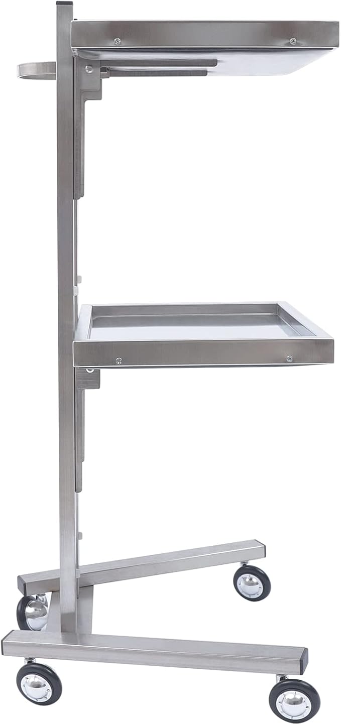 2 Tier Foldable Tray Trolley, Stainless Steel Salon Storage Metal Rolling Cart Mobile Hairdressing Tool Organizer with Wheels for Hair Salon, Studios, Spa Salons (Silver)