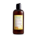 Just Nutritive Normal Hair Shampoo | Best Shampoo for Normal Hair Types | Leaves Hair Fresh & Great