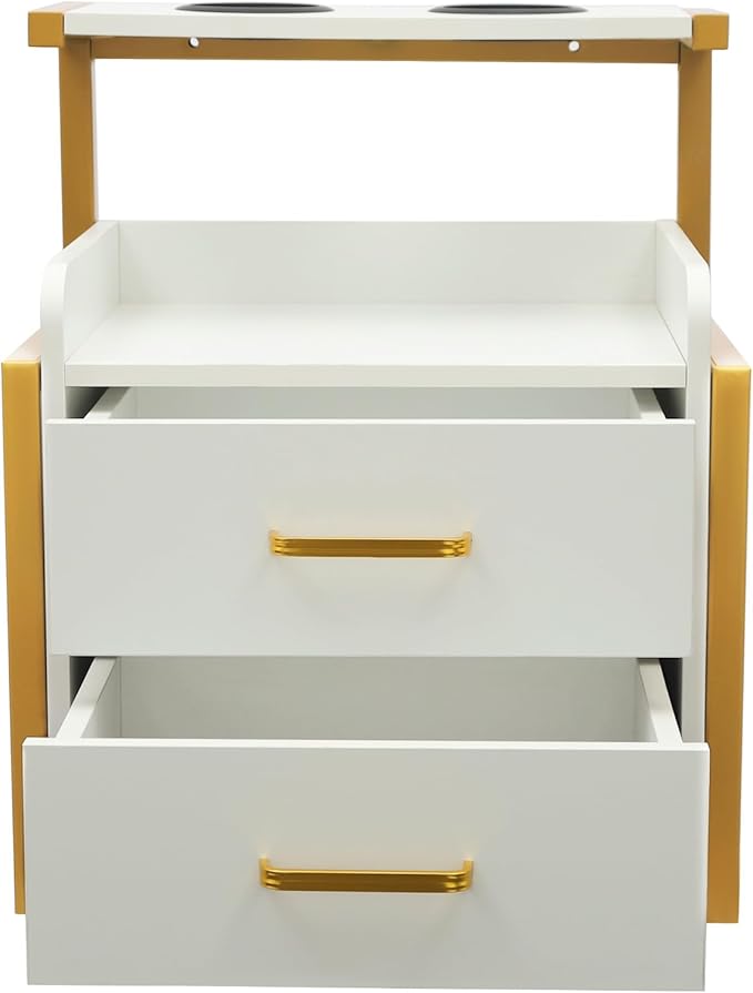 Suspended Salon Station for Hair Stylist, Wall Mounted Styling Salon Station Storage Cabinet w/2*Drawers &Hair Dryer Stand,Floating Nightstand Stylist Storage Cabinet for Home (Gold+White)