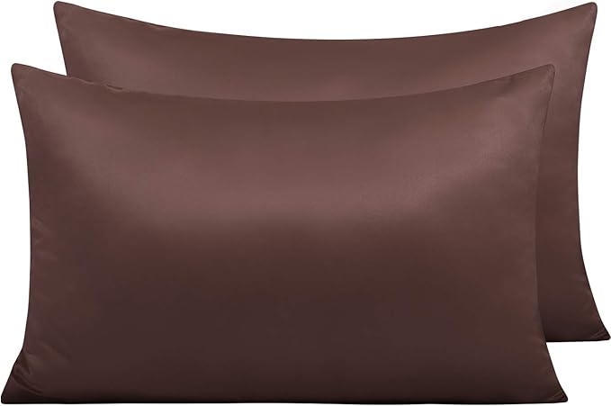NTBAY Zippered Satin Pillow Cases for Hair and Skin, Luxury Queen Hidden Zipper Pillowcases Set of 2, 20x30 Inches, Dark Brown
