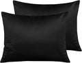 NTBAY Zippered Satin Pillow Cases for Hair and Skin, Luxury Standard Hidden Zipper Pillowcases Set of 2, 20x26 Inches, Black