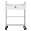 Paddie Salon Beauty Cabinet Cart Trolley 2-Layer Rolling Storage Drawer Organizer Wheels Lockable Tool Salon Station Barber Stylist Equipment Makeup Spa Cart (White-3 Layer)