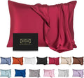 Mulberry Silk Pillowcase for Hair and Skin,Queen Size Cooling Silk Pillow Case with Hidden Zipper,Allergen Proof Dual Sides Soft Breathable Smooth Silk Pillow Cover for Women(Queen,Dark Red)