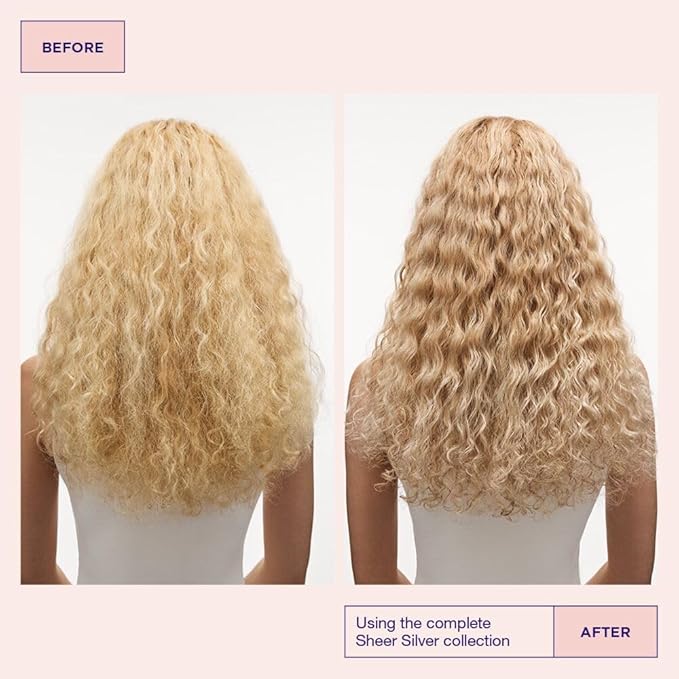 Maria Nila Sheer Silver, Shampoo 11.8 Fl Oz, Neutralizes Golden Shades, Violet Pigments Gives Cool Tone, 100% Vegan & Sulfate/Paraben free