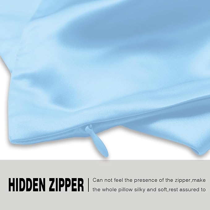 Mulberry Silk Pillow Cases Standard Size Silk Pillowcase with Zipper Soft Breathable Smooth Cooling Satin Silk Pillow Covers for Sleeping for Hair and Skin (Sky Blue,20"X 26",1Pcs)