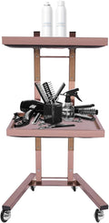 2 Tier Foldable Tray Trolley, Stainless Steel Salon Storage Metal Rolling Cart Mobile Hairdressing Tool Organizer with Wheels for Hair Salon, Studios, Spa Salons (Rose Gold)