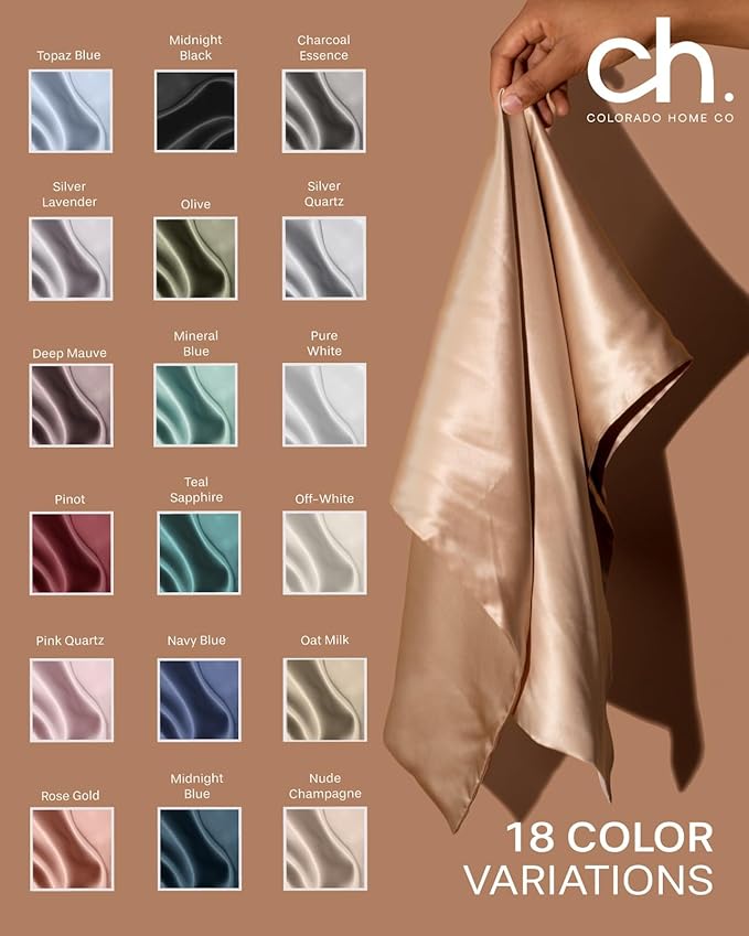 SUNDAYSILKS™ Premium Silk Pillow Cases | 100% Mulberry Silk Pillowcase with Zipper, All Sides Real 22 Momme Grade 6A Silk, Standard Queen, King Size [Pure White]