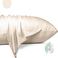 100% Mulberry Silk Pillowcase 2 Pack,Queen Size Silk Pillow Cases for Hair and Skin,Silky Smooth Bed Pillow Cover with Hidden Zipper,Natural Silk Pillow Case Set of 2 (Beige, Queen 20X30)