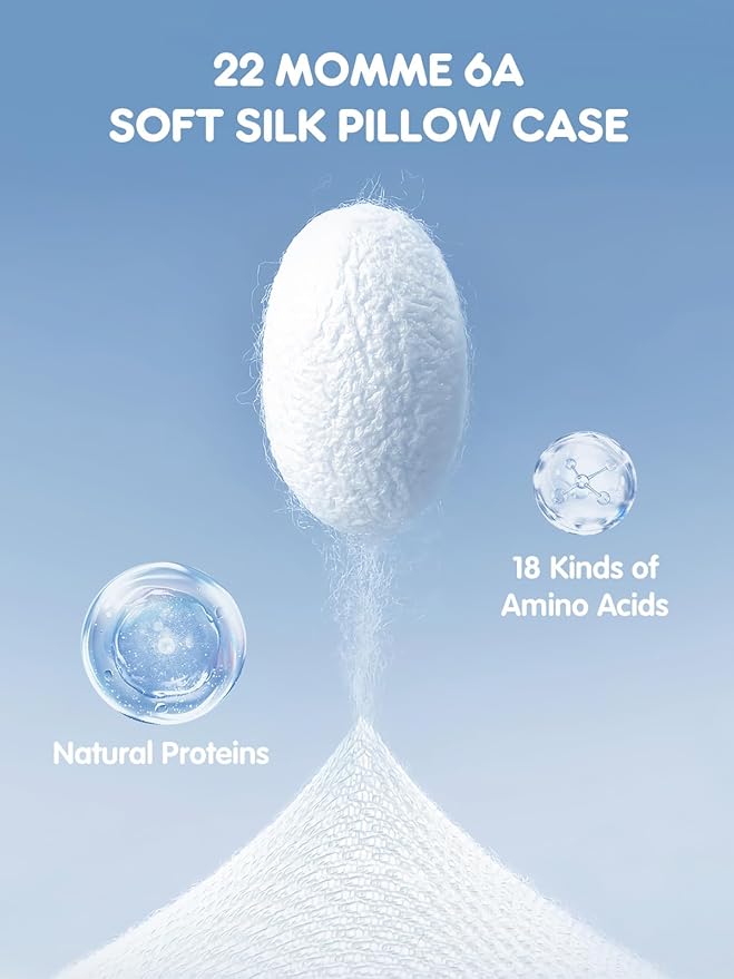 Mulberry Silk Pillowcase for Hair and Skin, SGMSILK 22 Momme Natural Silk Pillow Cases with Zipper, 6A Soft and Smooth Single Sided Pure Silk Pillow Cover (White, Standard 20"x26")