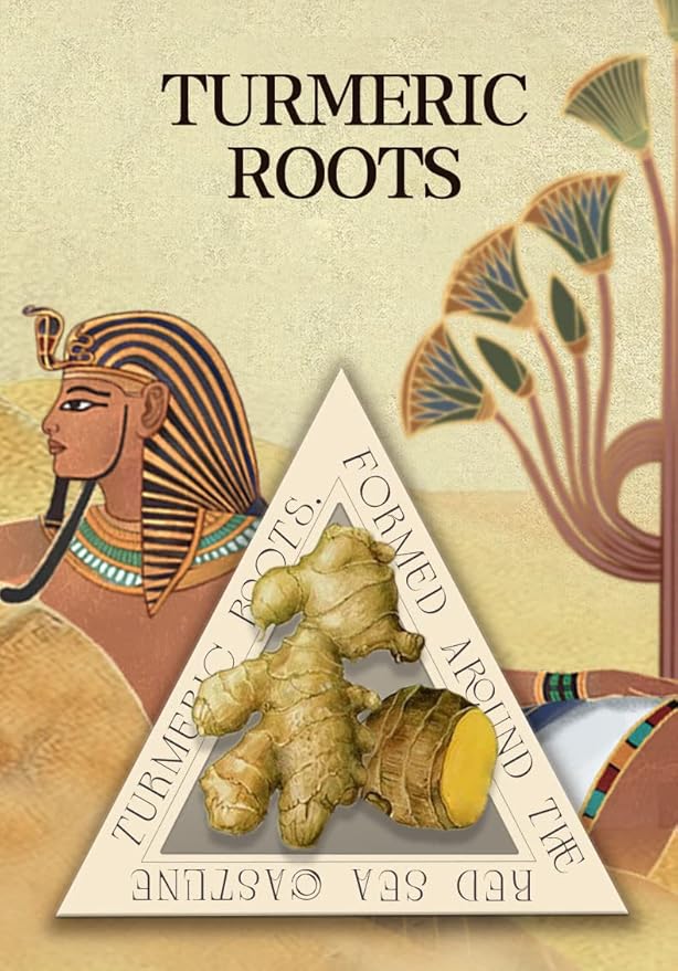 Castor Oil Scalp Rejuvenating Shampoo Deeply Cleanse Scalp Reduce Hair Loss Active Substance of Natural Keratin Repairs Hair Barrier Strengthens the Roots and Strands