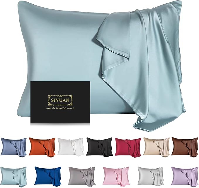 Mulberry Silk Pillowcase for Hair and Skin,Standard Size Cooling Silk Pillow Case with Hidden Zipper,Allergen Proof Dual Sides Soft Breathable Smooth Silk Pillow Cover for Women(Queen,Aqua Blue)