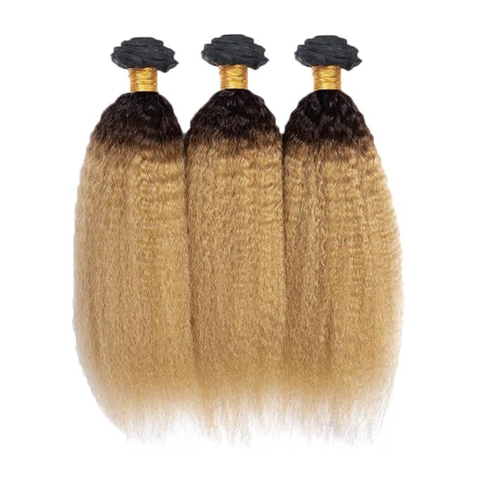 1B27 Human Hair Bundles Ombre Kinky Straight Bundles 20 22 24 Inch Niegmeag Virgin Remy Hair Extensions Double Weft 2 Tone Black and Honey Blonde Bundle 150g