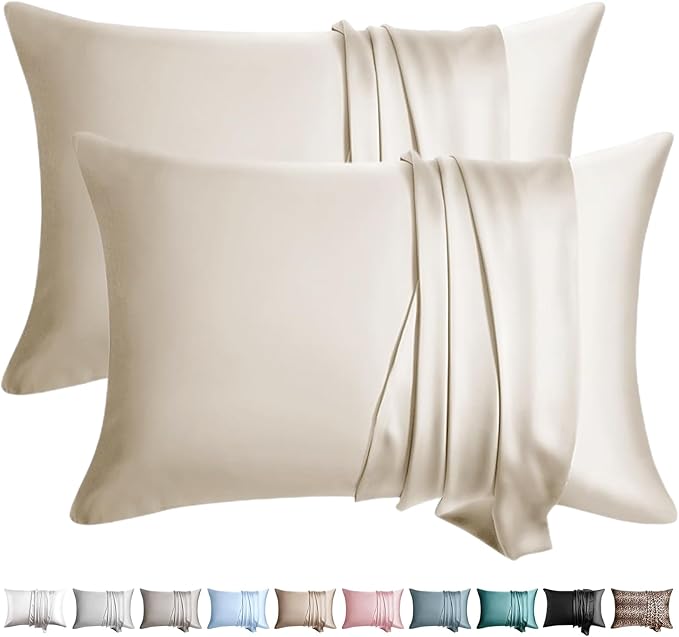 100% Silk Pillow Cases 2 Pack Queen Size Mulberry Silk Pillowcase for Hair and Skin Set of 2 Highest Grade 6A Silk Soft Breathable Cooling with Hidden Zipper, Beige