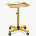 Salon Tray on Wheels Tattoo Rolling Tray Salon Service Cart Height Adjustble Hair Service Color Tray Gold