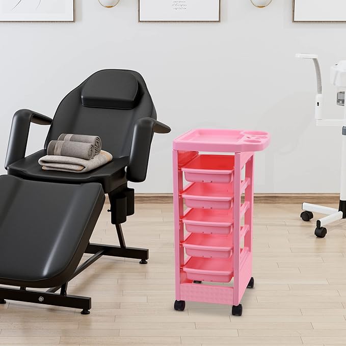 Paddie Pink Salon Trolley Cart with Wheels/5 Drawers/Dryer Holder/Tint Bowl Slot for Hair Stylist, Beauty Equipment