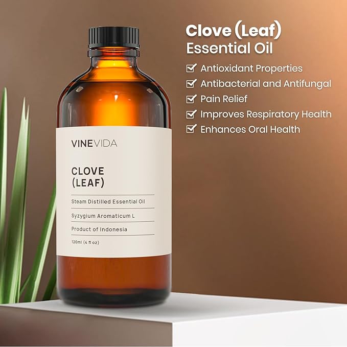 VINEVIDA Clove Essential Oil 4 oz - Undiluted, Clove Candle Oil Scent for DIY Candlemaking & Soap Making (Safe for Skin)