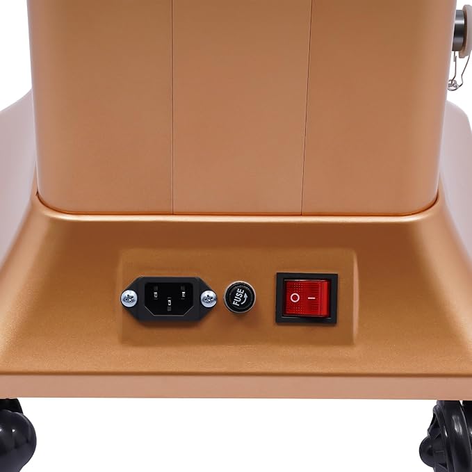 Nano Hair Steamer, Professional Micro Mist Hair Color Processor with 2 Vaporizing Caps, 650W Vertical Hair Care Machine with Rolling Wheels, Salon Spa Equipment for Deep Hair Care Repair, Hair Styling