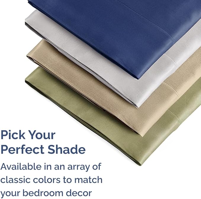 King Pillow Cases - 2 Pack - Super Soft Pillowcase Covers - Envelope Enclosure - Hotel Quality Pillow Protectors - Wrinkle Free, Shrink & Stain Resistant - Machine Washable - 20" x 40" (Light Blue)