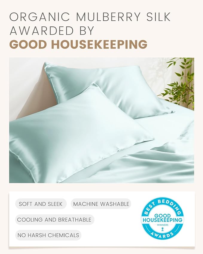 THXSILK Set of 2 100% Mulberry Silk Pillowcase for Hair and Skin, Grade 6A+ Mulberry Silk Pillow Cases Ultra-Soft, Hypoallergenic Pillow Case Cover with Zipper (Queen 20"x30", Light Blue)