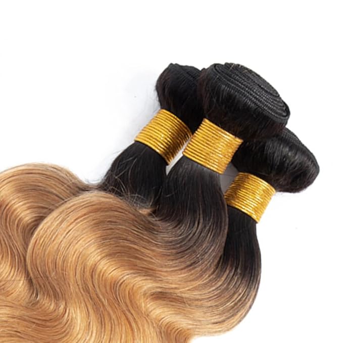 Ombre Blonde Bundles Human Hair 1b27 Body Wave Bundles 20 22 24 Inch 2 Tone Black and Honey Blonde Body Wave Bundle Brazilian Virgin Soft and Silky Remy Hair Extensions 150g