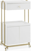 BarberPub Salon Trolley with Universal Wheels, Storage Rolling Cart with Drawer, Barber Shop Tool Organizer for Hair Stylist, SPA Metal Trolley for Storing Skin Cosmetics 2074 (White)