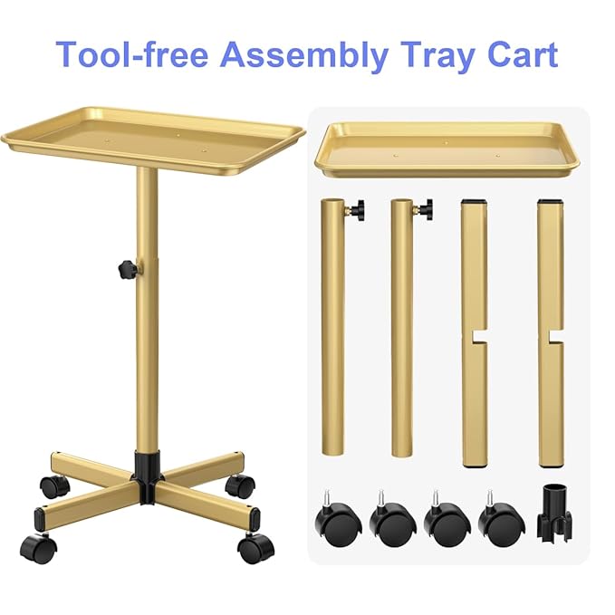 Salon Tray Cart, Salon Rolling Tray Adjustable Height, Tattoo Tray, SPA Rolling Trolley Tray for Beauty Hairstylist Dental Clinic,Champagne Gold