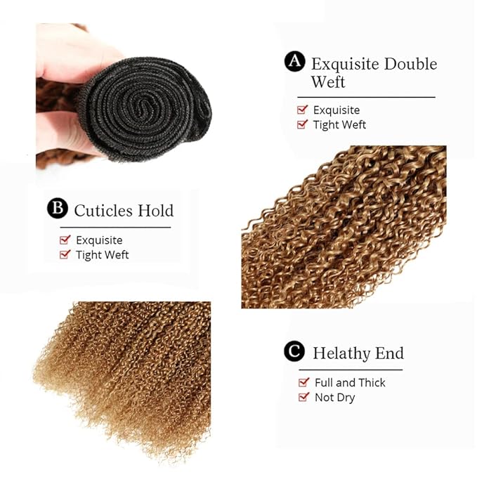 1B27 Bundles Human Hair Ombre Blonde Kinky Curly Bundle Virgin Remy Hair 3 Bundles 14 16 18 Inch Niegmeag Double Weft Soft and Silky 2 Tone Black and Honey Blonde Bundle 300g