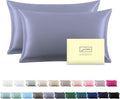 Silk Pillowcase for Hair and Skin,Soft,Breathable and Sliky 100% Queen Silk Pillow Case Set of 2,Both Sides Natural Mulberry Silk Pillowcases with Hidden Zipper(Queen Size 20"X 30",2pcs)