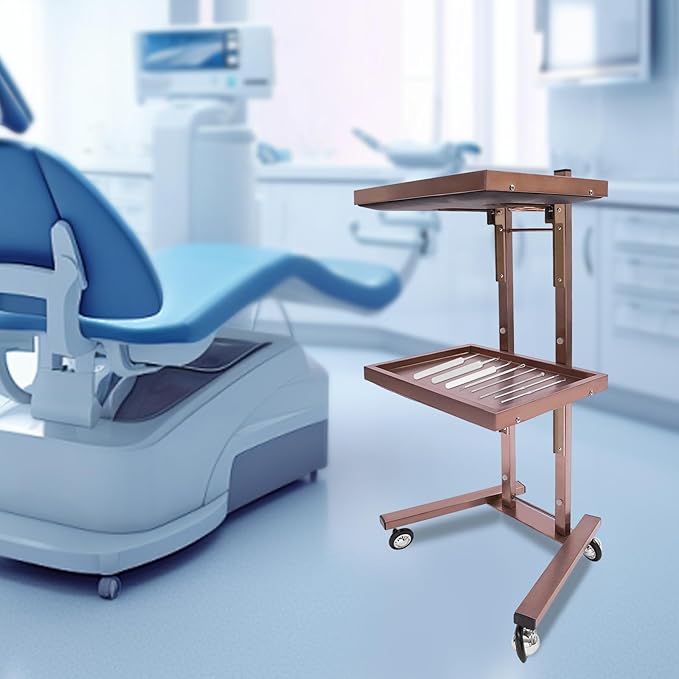 2 Tier Foldable Tray Trolley, Stainless Steel Salon Storage Metal Rolling Cart Mobile Hairdressing Tool Organizer with Wheels for Hair Salon, Studios, Spa Salons (Rose Gold)