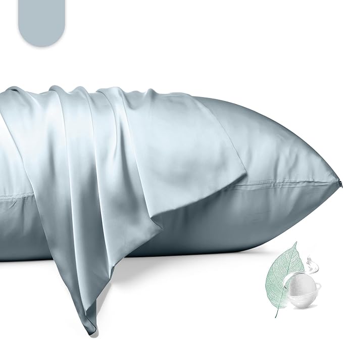 100% Mulberry Silk Pillowcase 2 Pack,Standard Size Silk Pillow Cases for Hair and Skin,Silky Smooth Bed Pillow Cover with Hidden Zipper,Natural Silk Pillow Case Set of 2 (Ash Blue, Standard 20X26)