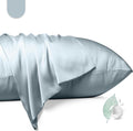 100% Mulberry Silk Pillowcase 2 Pack,Standard Size Silk Pillow Cases for Hair and Skin,Silky Smooth Bed Pillow Cover with Hidden Zipper,Natural Silk Pillow Case Set of 2 (Ash Blue, Standard 20X26)