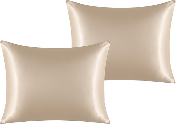 NTBAY 2 Pack Satin Standard Pillowcases for Hair and Skin, Luxurious and Silky Pillow Cases with Envelope Closure, 20x26 Inches, Taupe