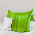 PROMEED 23 Momme Silk Pillowcase for Hair and Skin, Both Sides Upgraded Grade 6A+ Mulberry Silk Pillow Case with Zipper, Cooling Pillow Cases for Hot Sleepers (Standard 20"x26", Green)
