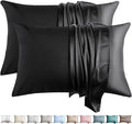100% Silk Pillow Cases 2 Pack Queen Size Mulberry Silk Pillowcase for Hair and Skin Set of 2 Highest Grade 6A Silk Soft Breathable Cooling with Hidden Zipper, Black