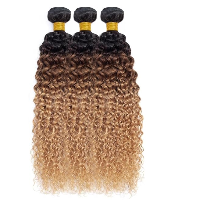 Ombre Human Hair Bundles 1B427 Kinky Curly Bundles 20 22 24 Inch Double Weft 3 Tone Brown and Honey Blonde Bundle Niegmeag Brazilian Virgin Remy Hair Extensions