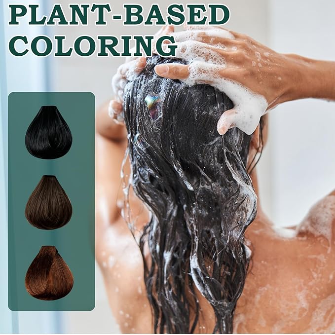 Mild Formula Long Lasting Hair Dye Set, Plant Extracts Hair Color for Gray Coverage, Herbal Hairs Dyes, Nourishing, Natural, Long-Lasting Shampoo 210ML (Natural Black)