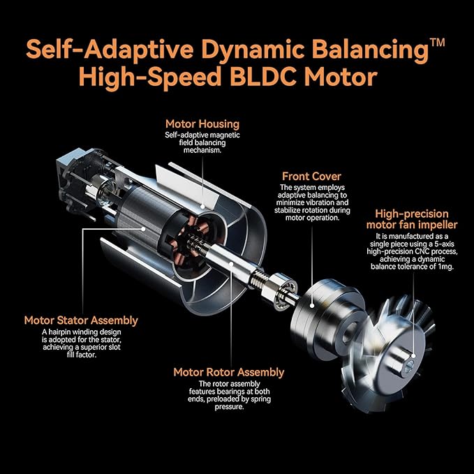 High Speed Hair Dryer - Ionic Hair Dryer with brushless Motor, Fast Drying, Low Noise, for Healthy Hair, with Magnetic Nozzle, Suitable for Home, Travel and Salon use (Black)
