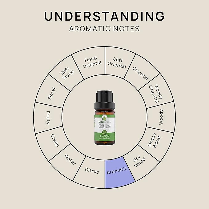 VINEVIDA Tea Tree Essential Oil - Undiluted, 10 mL - Candle Oil Scent - DIY Candle Scents - Safe for Soap Making & Skin