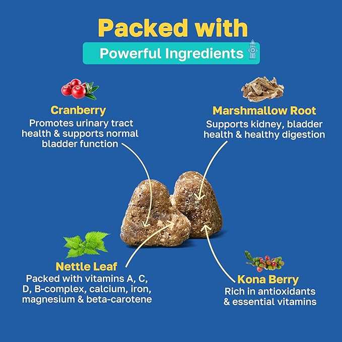 Happy Paws Bladder Supplement for Dogs, Urinary Support Soft Chews for All Breeds & Ages, Kidney Wellness Support with Cranberry & Antioxidants, Vegan Chicken Flavor, (100 Chews)