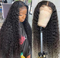 Deep Wave 13X6 HD Lace Front Wigs Human Hair Pre Plucked Brazilian Virgin Deep Curly Wigs with Baby Hair for Black Women Natural Black Color 200% Density 22 Inch