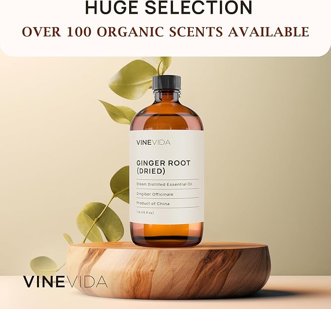 VINEVIDA Dried Ginger Root Essential Oil 16 oz - Undiluted Ginger Root Oil 16 oz - Ginger Root Candle Oil Scent - DIY Candle Scents for Candlemaking - Bulk Essential Oil for Soap Making Safe for Skin