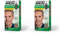 Just For Men Shampoo-In Color (Formerly Original Formula), Mens Hair Color with Keratin and Vitamin E for Stronger Hair - Sandy Blond, H-10, Pack of 2