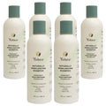Yobee Naturally Rebalancing Shampoo | Dry, Flaky & Itchy Scalp Care with Para Probiotics, Organic Honey & Turmeric, Vitamin B12 & Oat Extracts | Dandruff & Psoriasis Relief (6 Bottles)