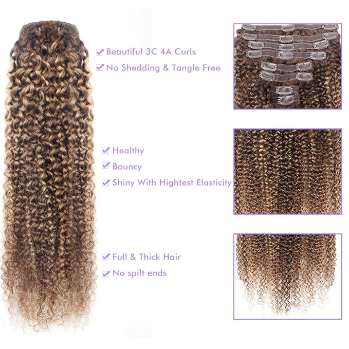 Curly Clip In Hair Extensions Real Human Hair Clip Ins Balayage Chocolate Brown to Caramel Blonde Human Hair Extensions 8Pcs with18clips 120g/Set (24 inch，#4/27/4)